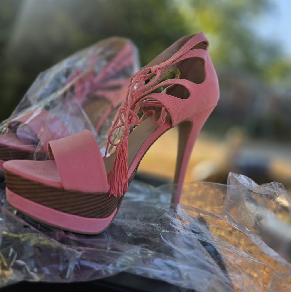 Elegant Pink High Heels